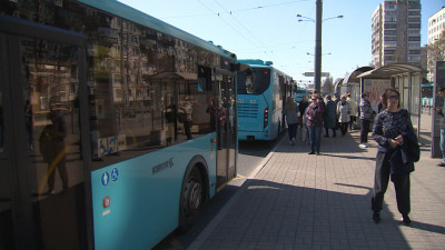 В Петербурге на линии вышли автобусы по двум новым маршрутам