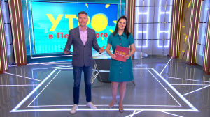 Утро в Петербурге 15 мая