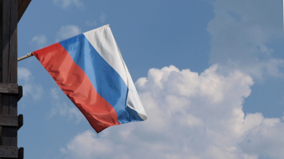 Жителям Петербурга и Ленобласти предложили создать свой триколор ко Дню российского флага