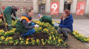 Цветочное оформление в Санкт-Петербурге