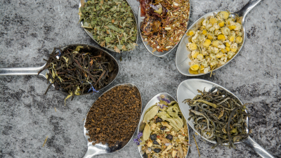 Жареный чай и съедобный мох петербуржцы могут попробовать на Манежной площади