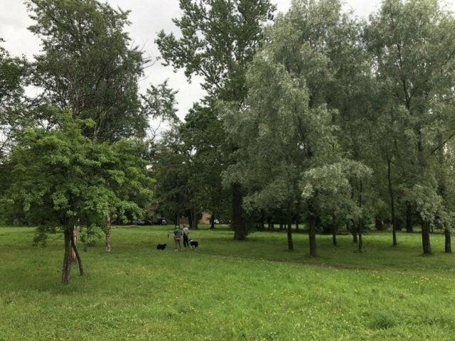 Пулковскому парку вернут название парк Городов-Героев - tvspb.ru