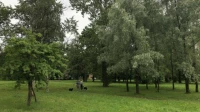 Пулковскому парку вернут название парк Городов-Героев