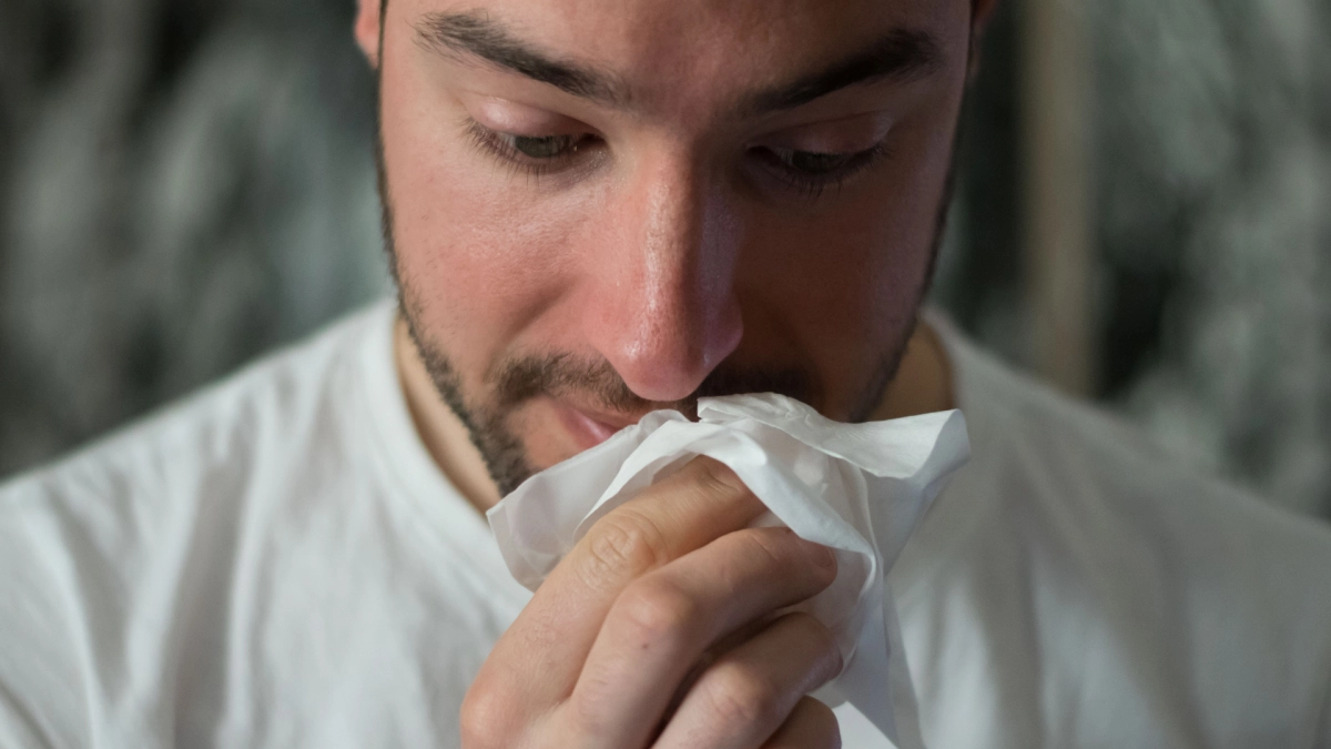 5 важных правил, которые позволят не столкнуться с летней аллергией - tvspb.ru