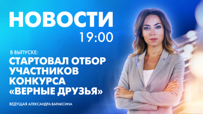 Новости Петербурга к 19:00