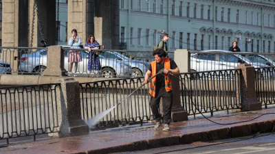 Центральный, Курортный и Кронштадтский районы стали самыми чистыми в Петербурге