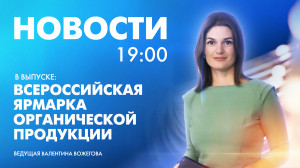 Новости Петербурга к 19:00