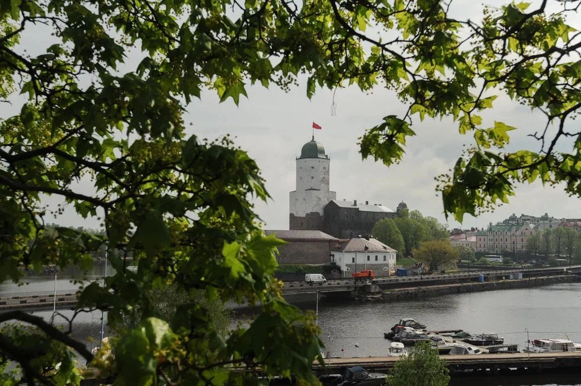 Парк Монрепо и Выборгский замок вошли в топ-50 самых посещаемых музеев страны - tvspb.ru