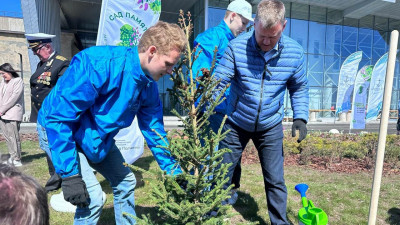 Новые хвойные деревья высадили на «Острове Фортов» в рамках акции «Сад памяти»