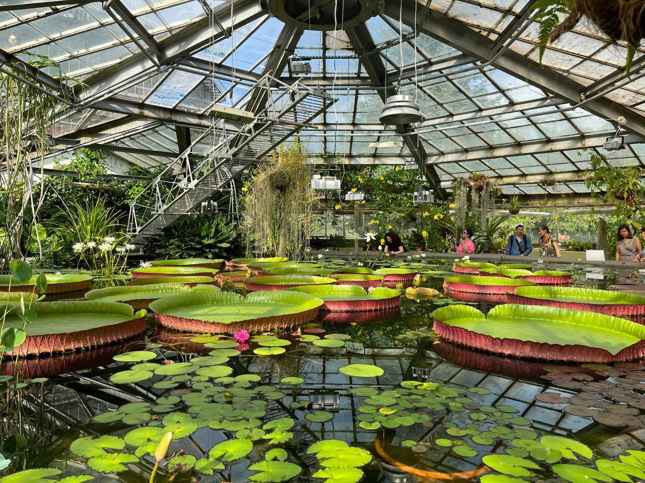 ботанический сад на ботанической москва