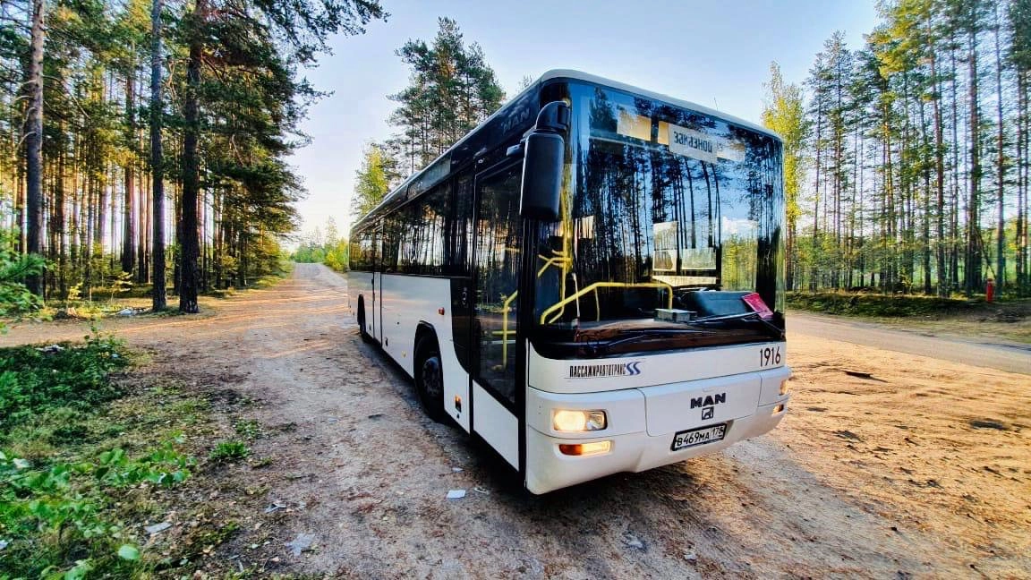Более 10 тысяч детей отправятся на летний отдых на автобусах «Пассажиравтотранса» - tvspb.ru