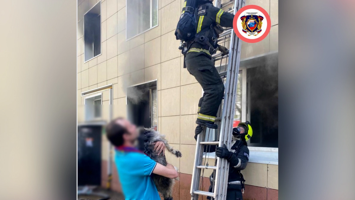 Пожарные спасли из горящего дома в Сертолово 4 человек, 2 собак и кошку - tvspb.ru