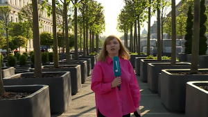 Липы шелестят: на Исаакиевской площади появилась целая аллея в стильных вазонах