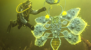 Глубоководные пейзажи, написанные на пленэре под водой: выставка работ Дениса Лотарёва в Эрарте