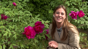 В Ботаническом саду зацвели пионы