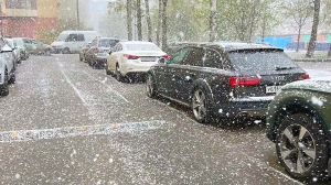 В начале мая в Петербурге выпал снег