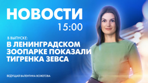 Новости Петербурга к 15:00