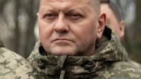 МВД объявило главкома войск Украины Залужного в розыск