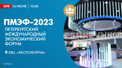 XXVI Петербургский международный экономический форум. День 2