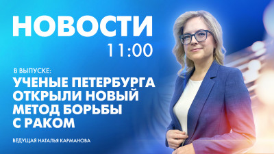 Новости Петербурга к 11:00