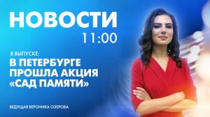 Новости Петербурга к 11:00