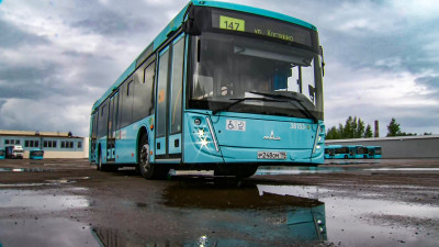 В следующем году автобусный парк Петербурга станет больше на 550 машин