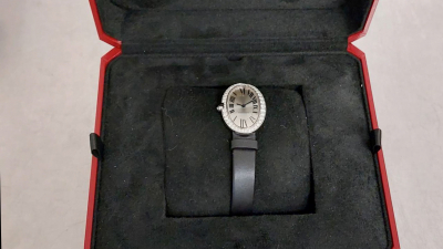 Попытка ввезти в Россию часы с алмазами стала уголовным делом о контрабанде