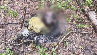 Появилось фото с места, где мужчина нашел пакет с человеческой головой в Сертолово