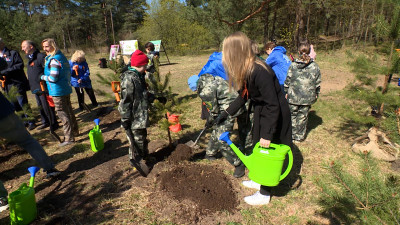 В рамках акции «Сад памяти» в Петербурге высадили более 2 тысяч деревьев и кустарников