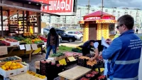 От незаконных торговцев освободили более 20 участков земли Петербурга