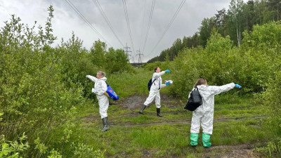 Ветеринары начали раскладывать приманки с вакциной от бешенства в лесах Ленобласти