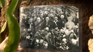 «Приказано выжить!» Как спасали Ботанический сад в Великую Отечественную войну