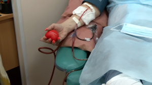 Семь минут процедуры — одна спасённая жизнь:  сегодня всемирный день донора крови