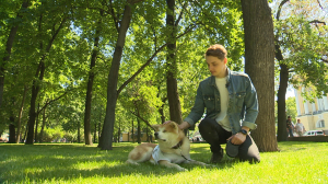 Изюм — очаровательный пушистый волонтёр —  вновь на вахте у Медного всадника