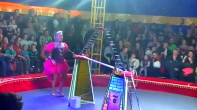 Момент обрушения трибун в цирке в Лесколово попал на видео