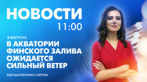 Новости Петербурга к 11:00