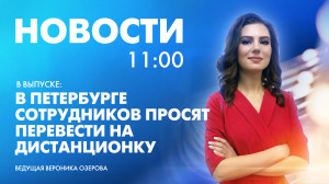 Новости Петербурга к 11:00