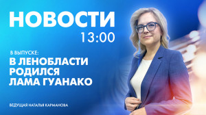Новости Петербурга к 13:00