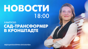 Новости Петербурга к 18:00