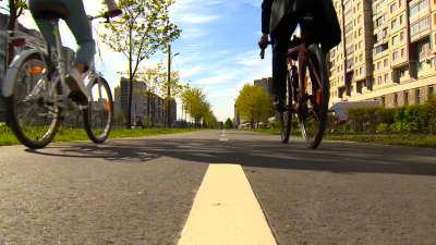 В ноябре в Петербурге представят план развития сети веломаршрутов