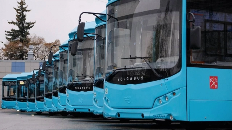 На петербургские улицы вернулись  проверенные лазурные автобусы «МАЗ» - tvspb.ru