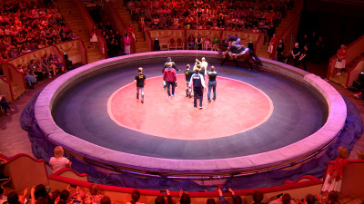 В Цирке на Фонтанке провели открытую репетиция шоу братьев Запашных «Страшная сила»