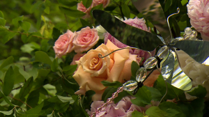 Праздник цветов в Павловске