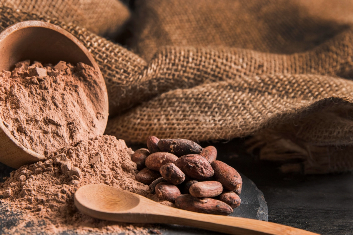 Более 400 тонн африканских какао-бобов задержали в Большом порту Петербурга - tvspb.ru