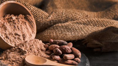 Более 400 тонн африканских какао-бобов задержали в Большом порту Петербурга
