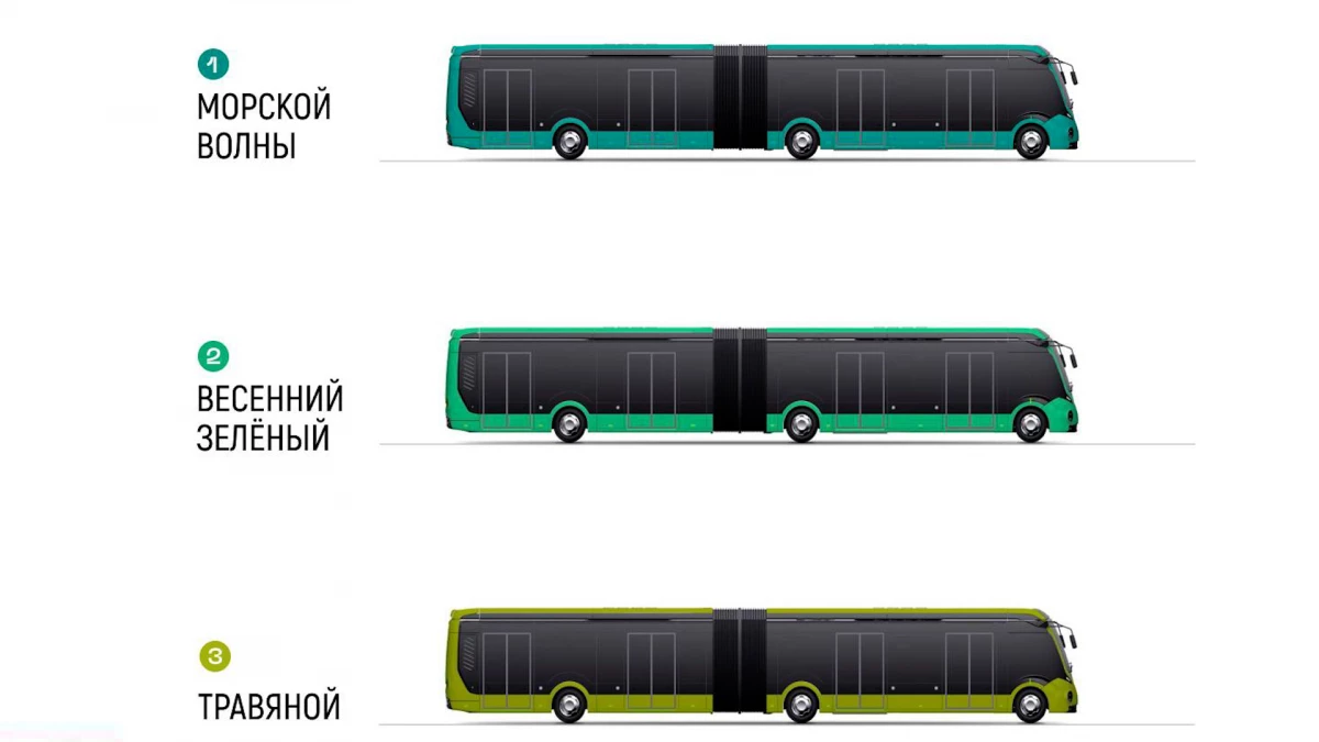 Петербуржцам предложили выбрать цвет для новых электробусов - tvspb.ru