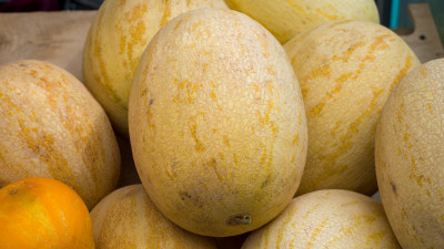 Как определить дыню с нитратами