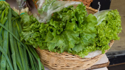 Петрушка, укроп и шпинат: какая зелень должна быть в рационе в осенний период