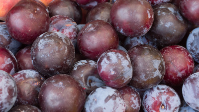 Кому не стоит есть сливы: рекомендации диетолога