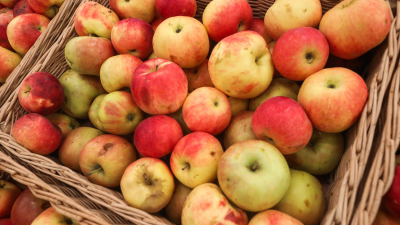 Ржавые гвозди и пластиковые бутылки: как собрать много урожая с яблони